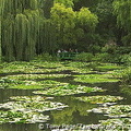 The famous Waterlily Pond and Japanese Bridge at Monet's house and garden at Giverny