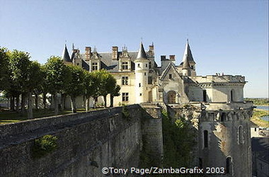 Chateau Amboise