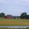 Swedish countryside (1274 visits) Swedish countryside Swedish countryside