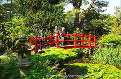The Japanese Garden at the National Stud
