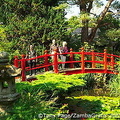 The Japanese Garden at the National Stud