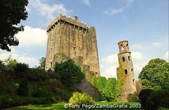 Blarney Castle and Gardens