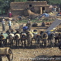 Parking lot at the Berber Market