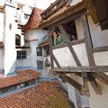 Trip to Bran Castle, Transylvania (850 visits) Trip to Bran Castle, Transylvania