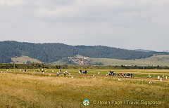 Bran Castle, Transylvania, Romania