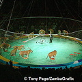 Russian Circus