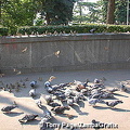 [Moscow, Russia]