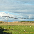 Caithness countryside