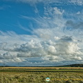 Caithness countryside
