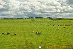 Caithness farmland