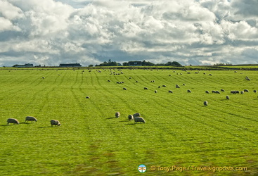 Caithness farmland