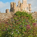 View of Castle of Mey from the gardens