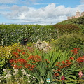 Castle of Mey Gardens