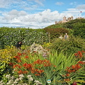 Castle of Mey Gardens