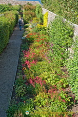 Castle of Mey Gardens supply fruit and flowers to the castle kitchen