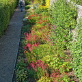 Castle of Mey Gardens supply fruit and flowers to the castle kitchen