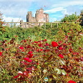 View of Castle of Mey from the Gardens