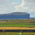 View of Dunnet Head