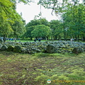 Central Ring Cairn