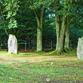 A couple of standing stones