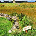 Clan Donald stones
