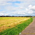 Culloden Battlefield path