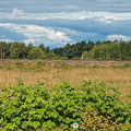 Culloden Battlefield