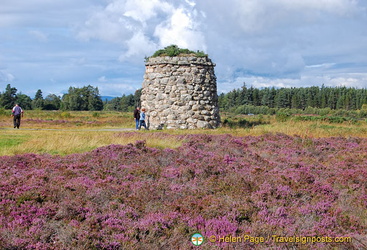 Beautiful Scottish heather add colour to the Memorial Cairn