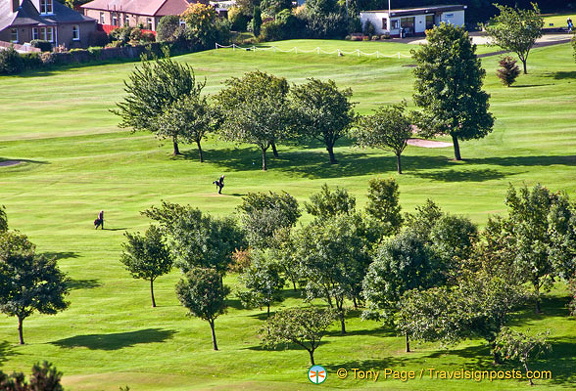 AJP 6464 (1251 visits) AJP 6464