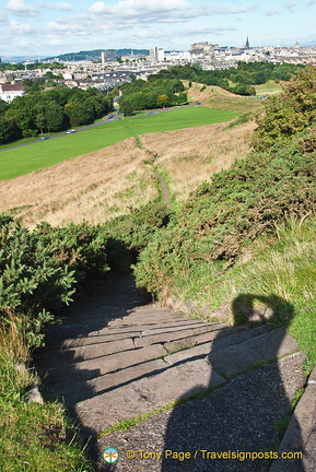 AJP 6466 (1254 visits) AJP 6466