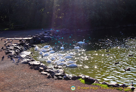 DSC 9589 (1221 visits) DSC 9589