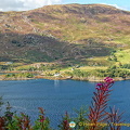 DSC 0109