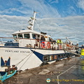 Pentland-Ferry AJP7076