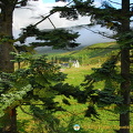 Laggan country views