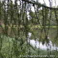 Southern Highlands - Scotland