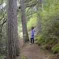 Newtonmore is situated in Britain's largest National Park -The Cairngorms
