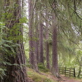 Newtonmore - Southern Highlands - Scotland