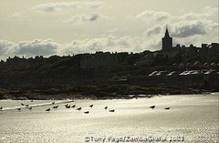 [St Andrews Links - Scotland]