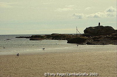 [St Andrews Links - Scotland]