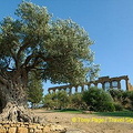 Agrigento | Sicily