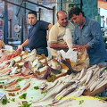 Palermo Market | Sicily (1415 visite) Palermo Market | Sicily