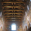 IMG_3905.jpg