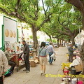 DSC_0205.jpg