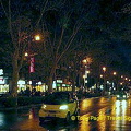 DSC_0308.jpg