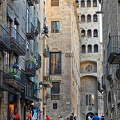 DSC 7547
