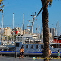 DSC 7556