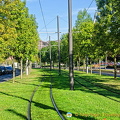 Bilbao Metro railway track - with grass...