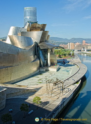 Titanium is rarely used for buildings so the Guggenheim Bilbao is unusual