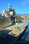 Titanium is rarely used for buildings so the Guggenheim Bilbao is unusual