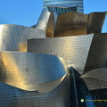 Guggenheim-Bilbao AJP2919 250201021756